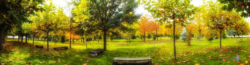 Panorama del Parque de San Juan Reducc.jpg